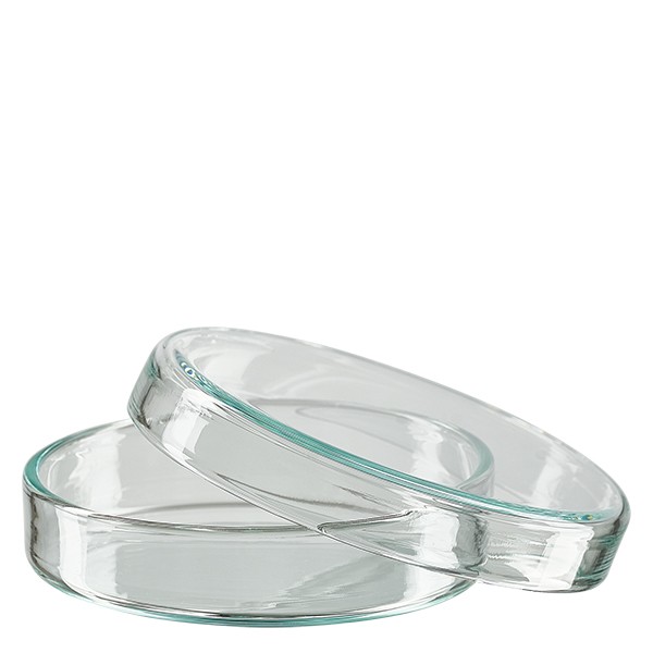 60 mm petriskål av klart laboratorieglas för odling av mikroorganismer och cellkulturer. Höjd 15 mm