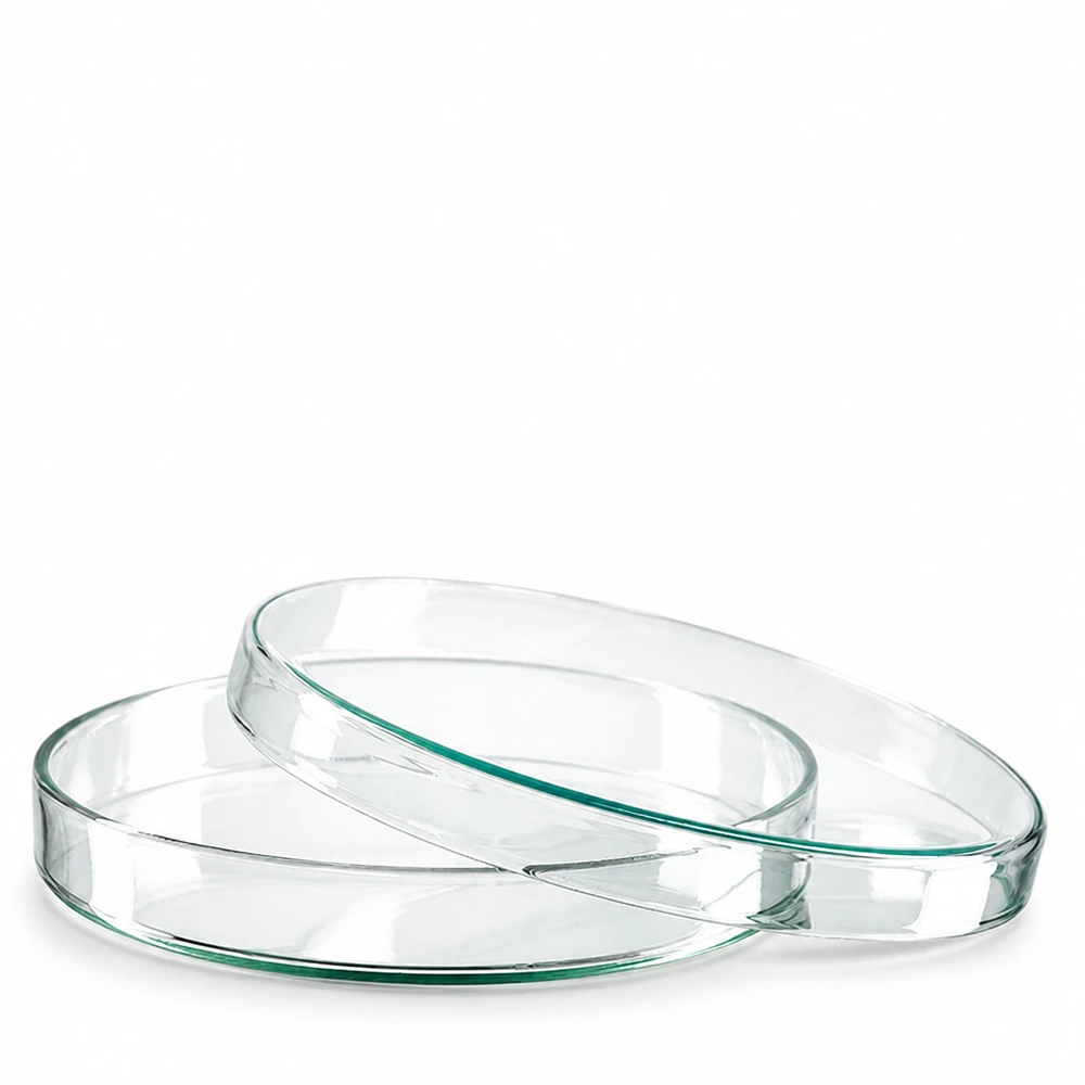 Petriskål 120x20mm glas Två runda petriskålar av glas, 120 x 20 mm, staplade på varandra mot en vit bakgrund