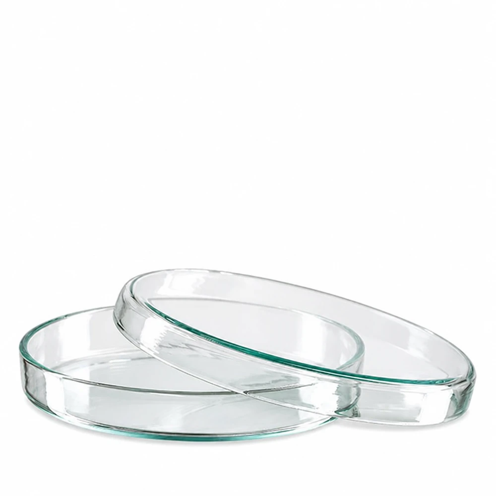 Två petriskålar av klart glas, 90 x 15 mm, staplade på varandra mot en vit bakgrund