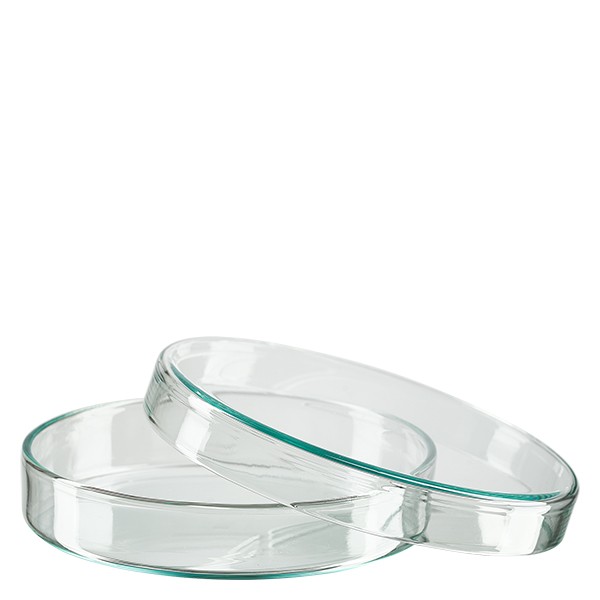 Petriskål 100x20mm glas Petriskål 100x20mm glas