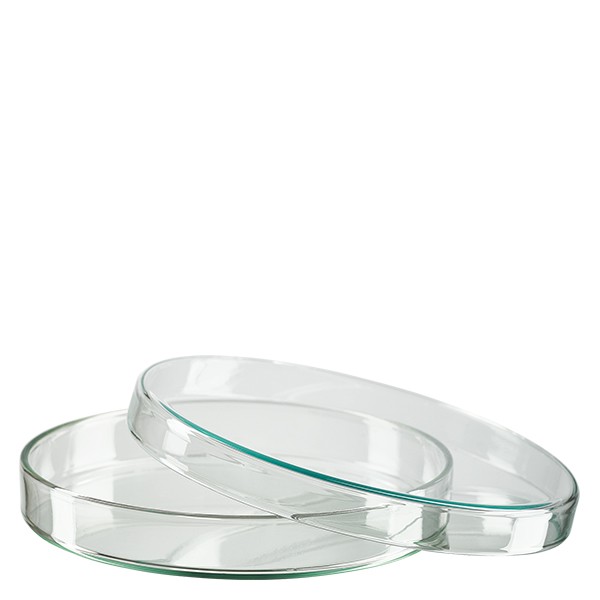 Petriskål 120x20mm glas Petriskål 120x20mm glas