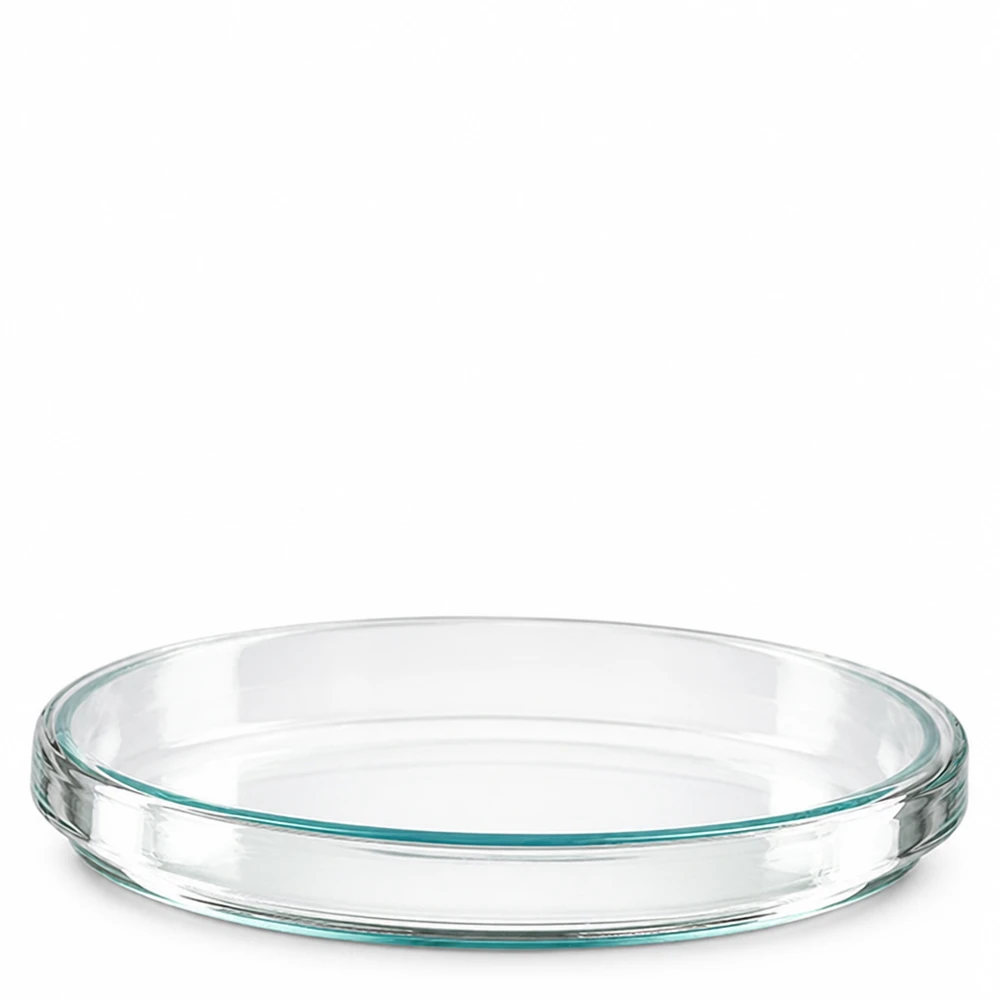 Petriskål 100x15mm glas Enstaka petriskålar av glas, 100 x 15 mm, sedda uppifrån och från sidan mot vit bakgrund