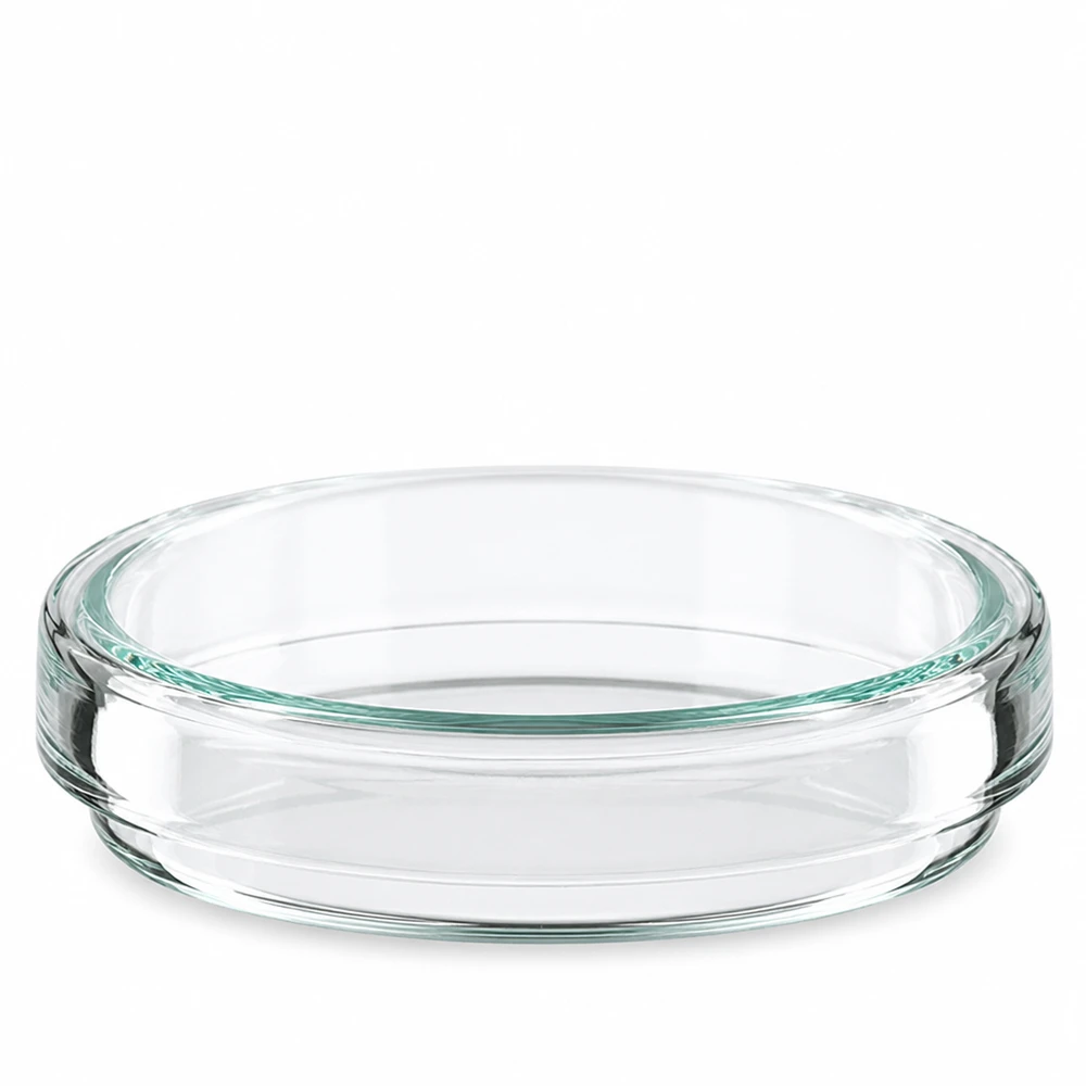 Enstaka tom och genomskinlig petriskål av glas, 60x15 mm, sedd framifrån mot vit bakgrund