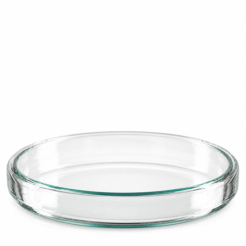 Petriskål 90x15mm glas En enskild petriskål av transparent borosilikatglas, 90 x 15 mm, fotograferad snett uppifrån