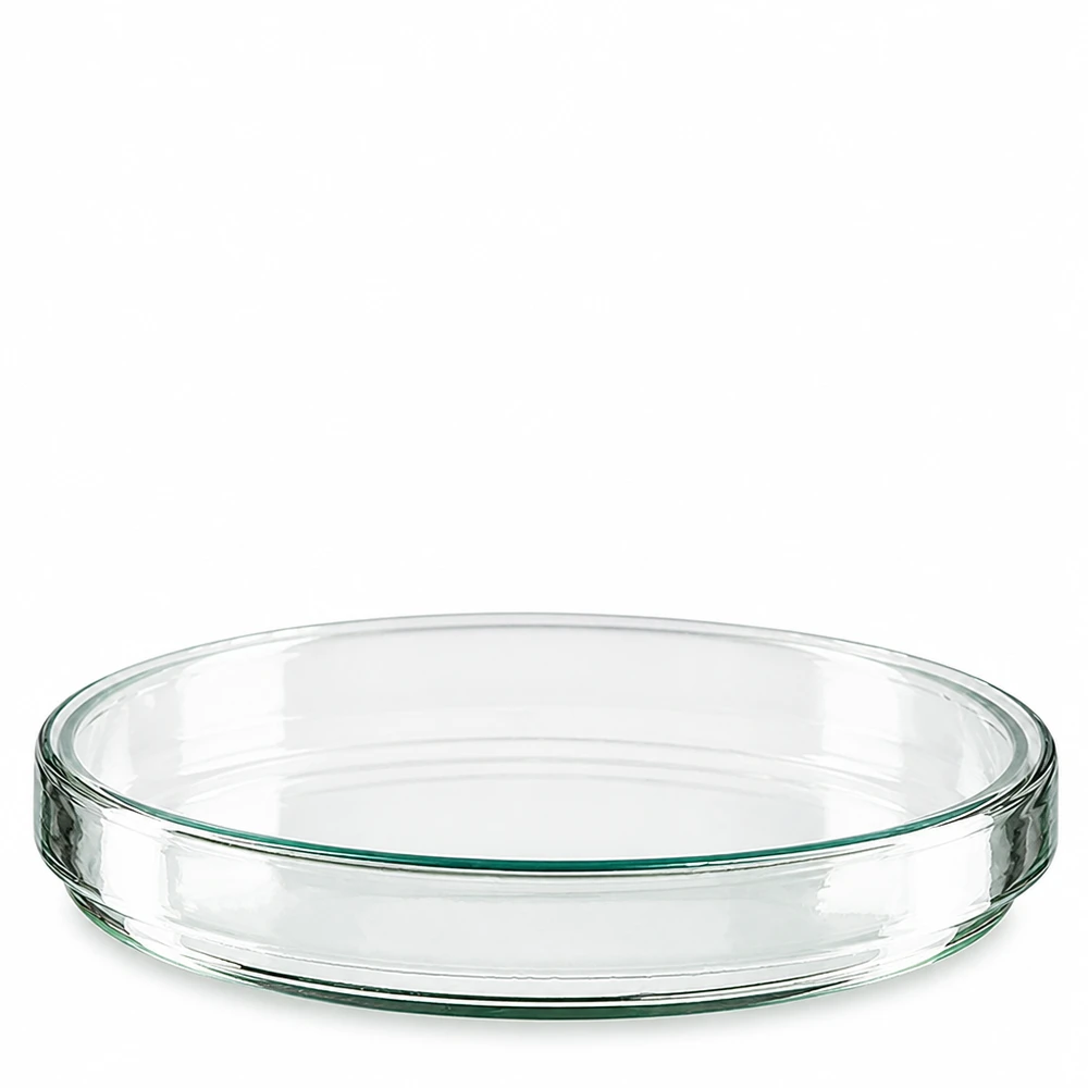 Petriskål 120x20mm glas Enstaka tomma petriskålar av glas, 120 x 20 mm, sedda framifrån ovanifrån mot vit bakgrund