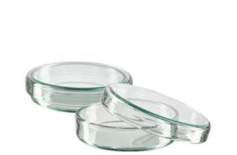 Petri skålar (glas)